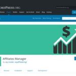 Affiliates Manager