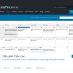 Editorial Calendar